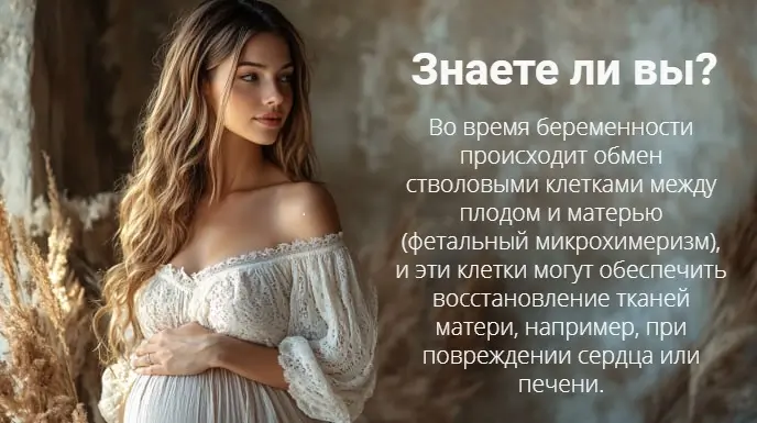 беременная женщина