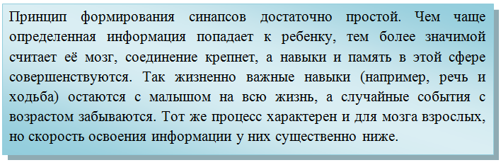 formirovanie-sinapsov